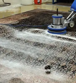 Professional rug cleaning with a rotary floor machine and shampoo foam, deep-cleaning an area rug Nashville, TN.
